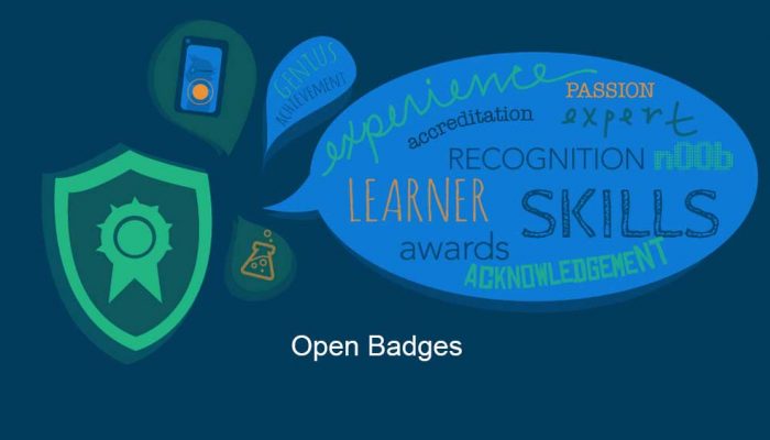 20 Badges You Can Award To Your Online Community - BadgeOS