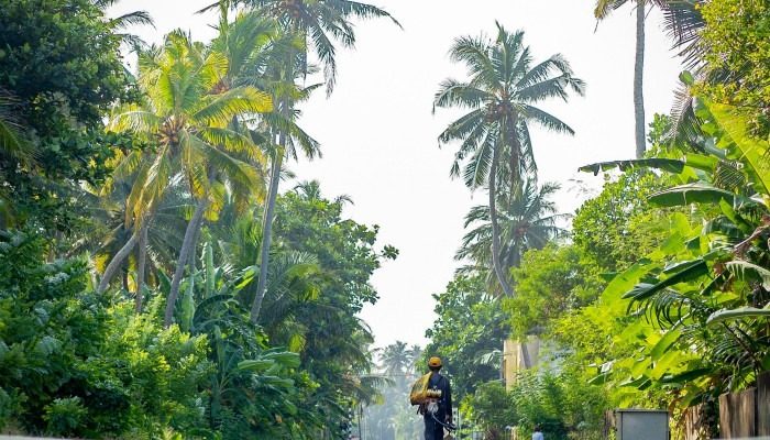 Hikkaduwa, Sri Lanka. Person Walking On A Train Track