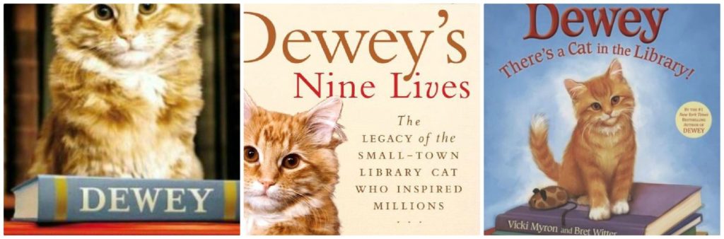 Book covers from three books about Dewey the cat.