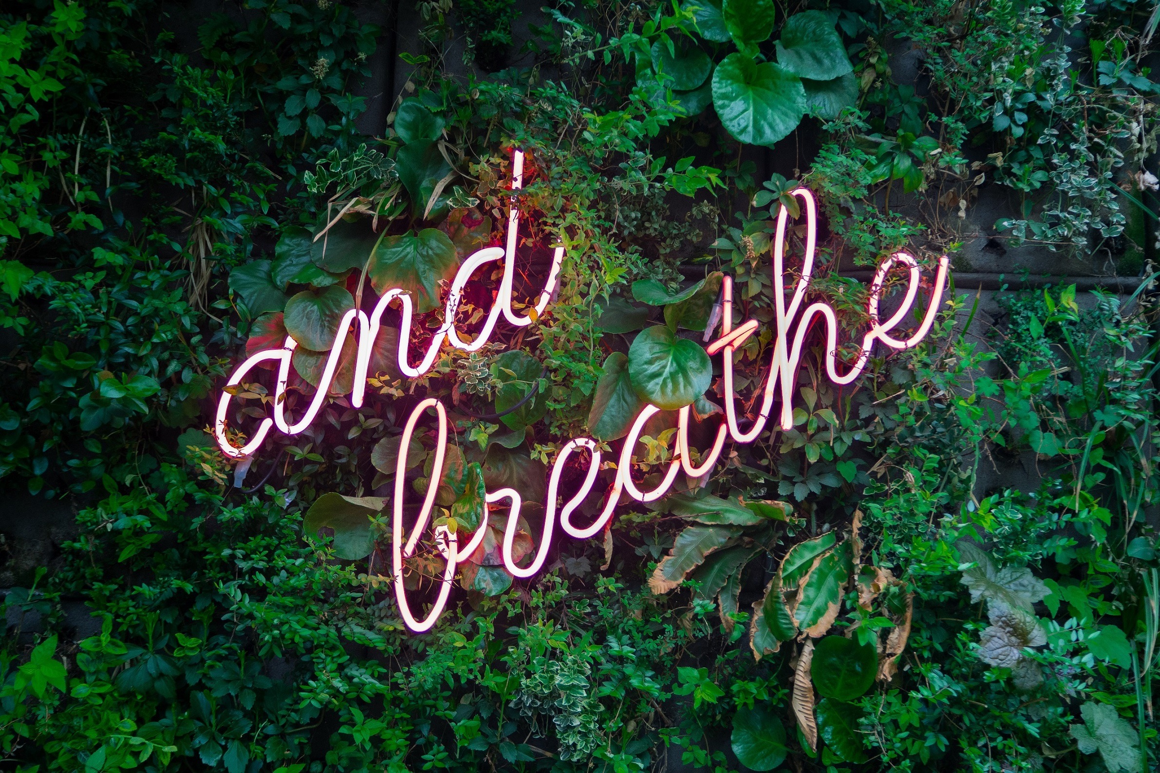 Greenery with a neon sign on top, stating "and breathe"